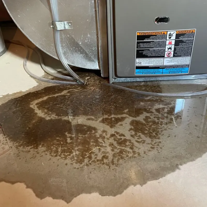Pipe Burst and Leak Restoration in Village Green-Green Ridge, PA