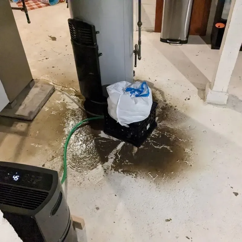 Sewage Backup Cleanup Service in Village Green-Green Ridge, PA